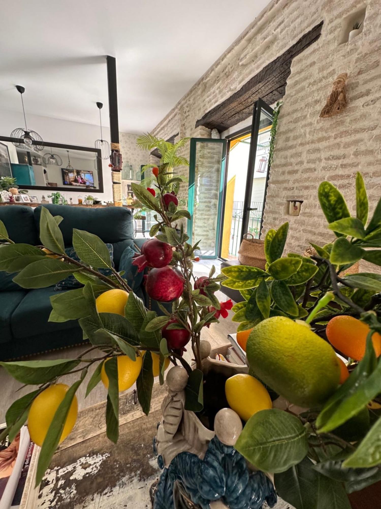 Casa Duque Compartida Familiar 1-Habitacion Con Bano Propio Севілья Екстер'єр фото