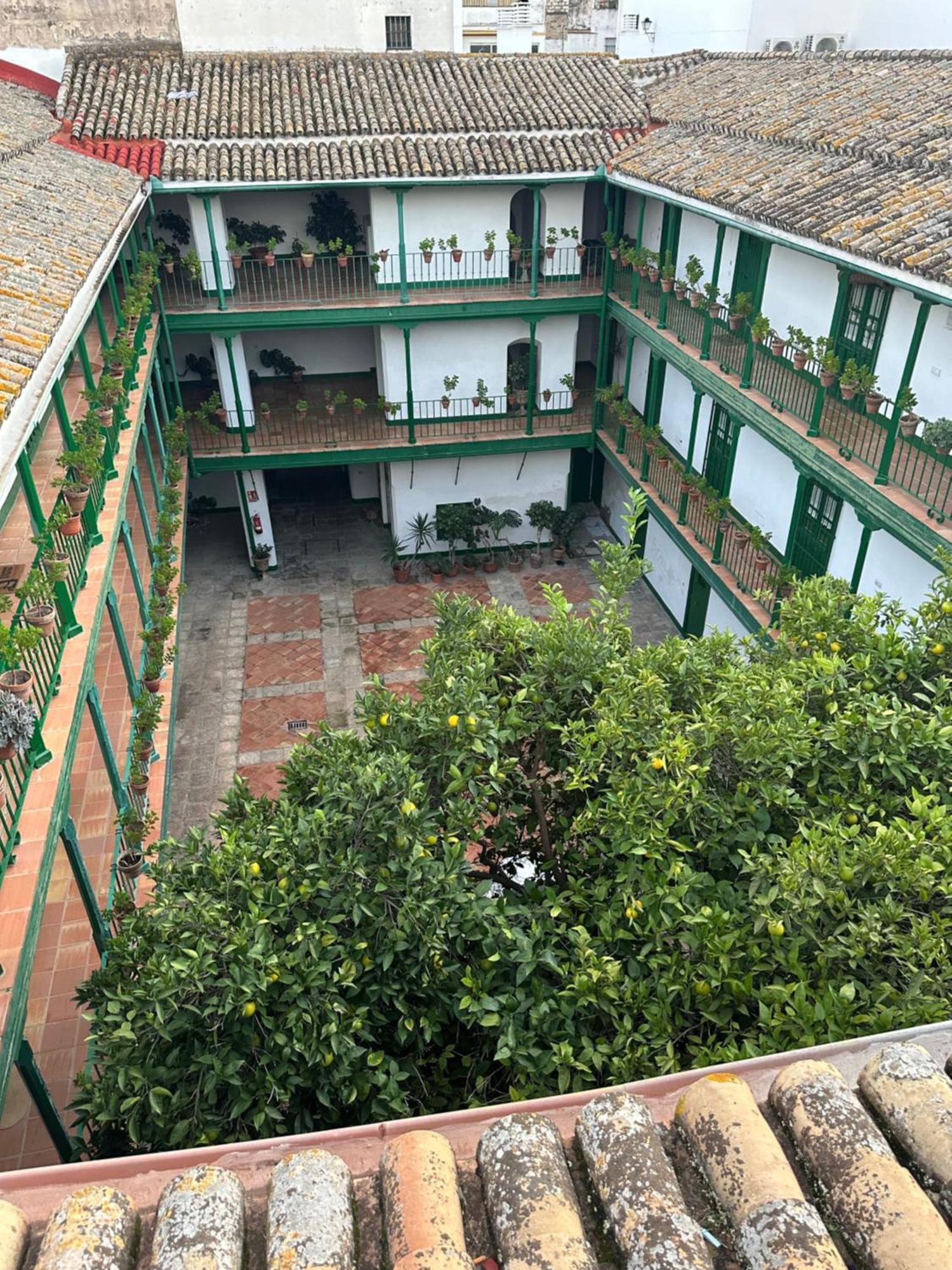 Casa Duque Compartida Familiar 1-Habitacion Con Bano Propio Севілья Екстер'єр фото
